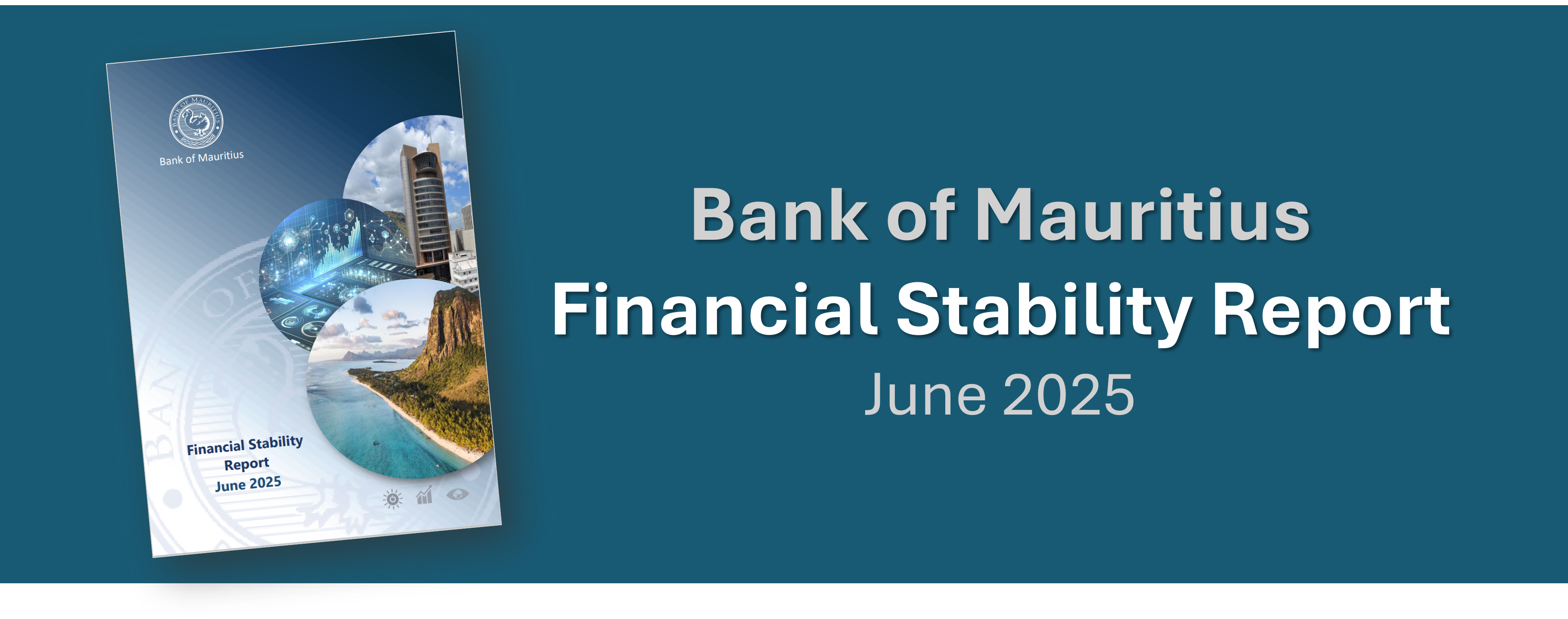Financial Stability Report